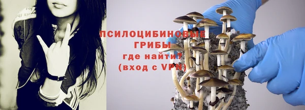 марки nbome Лиски